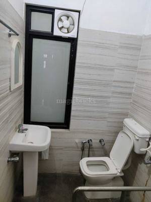 White Park Avenue PG Vatika Infotech City - Common area
